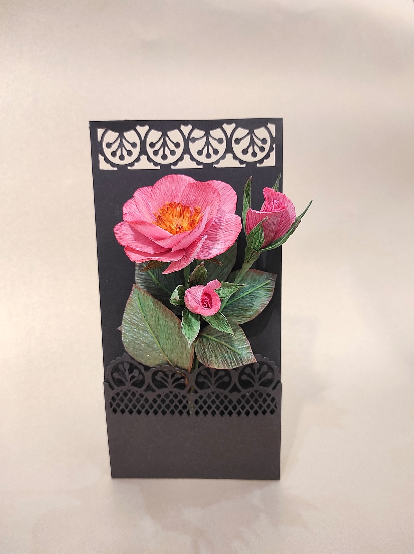 vadrózsa fekete lapon