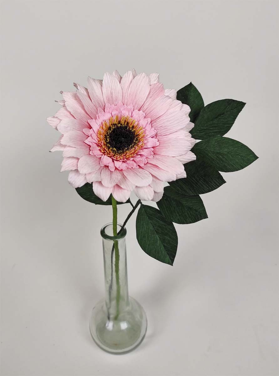 Gerbera