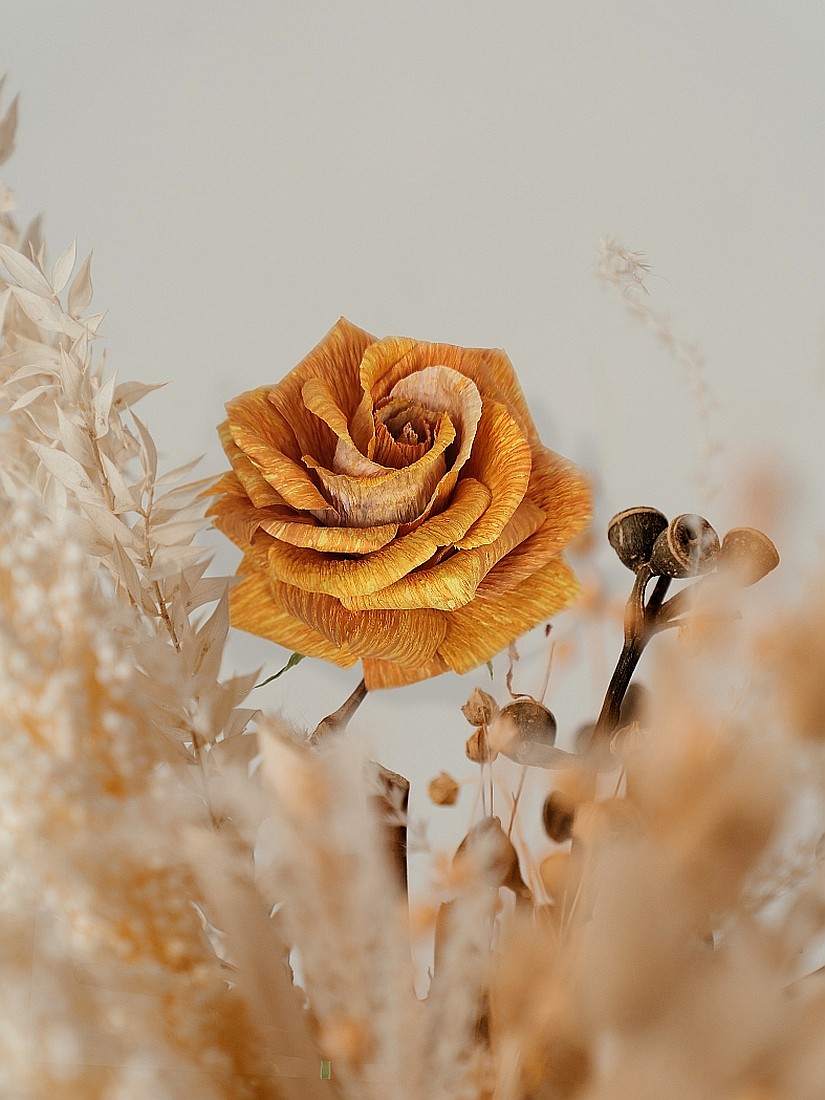 Rózsa szárazvirágokhoz